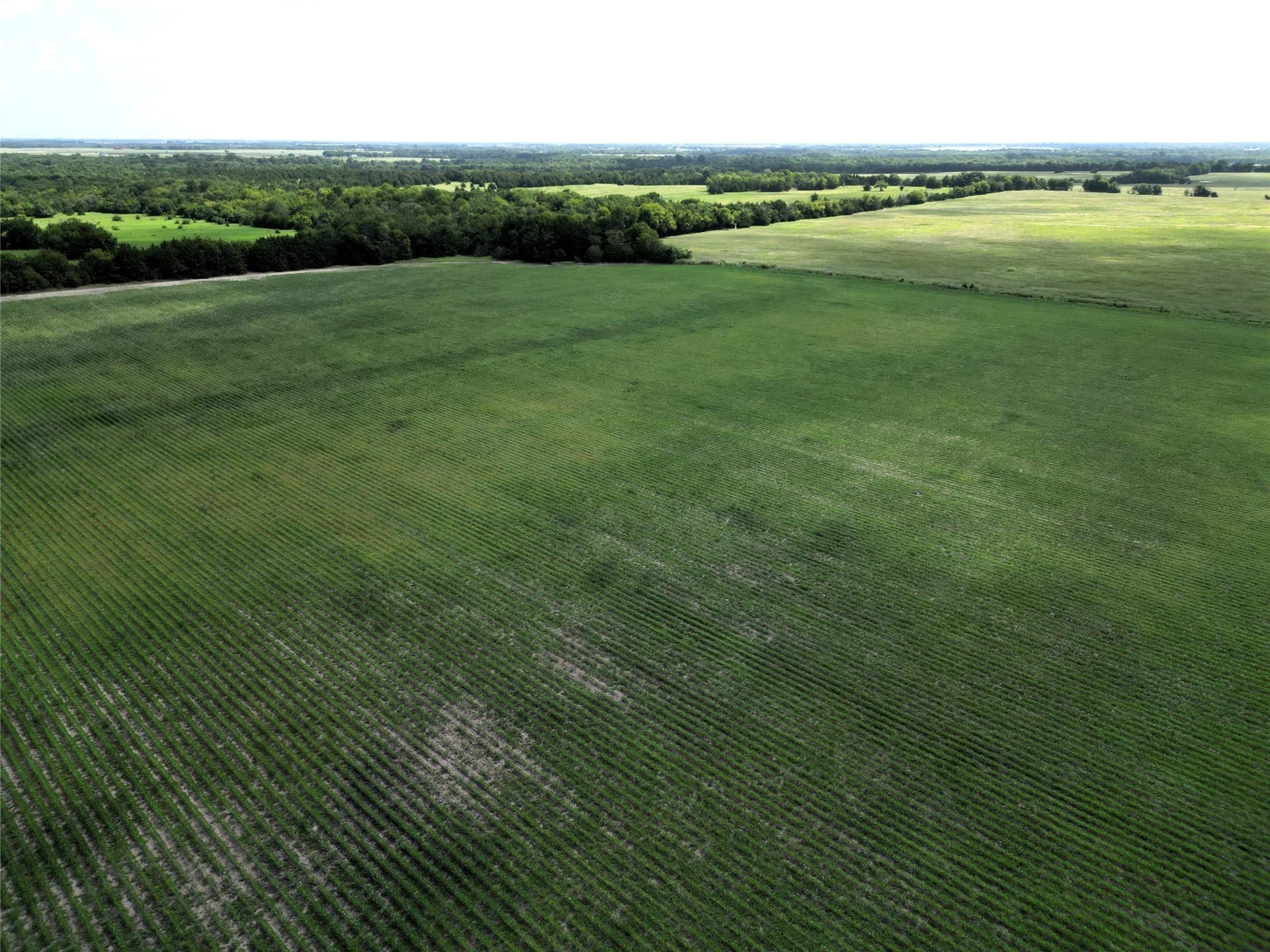48 acres in Delta County - photo 13