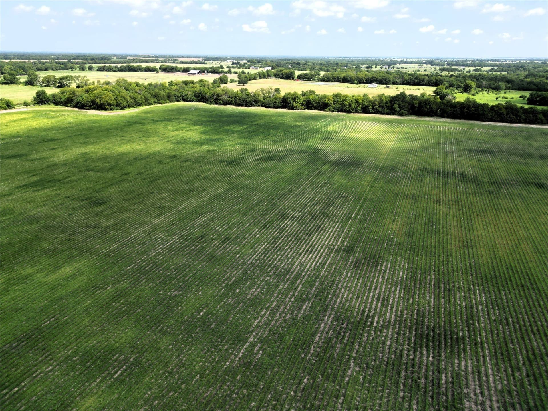48 acres in Delta County - photo 15