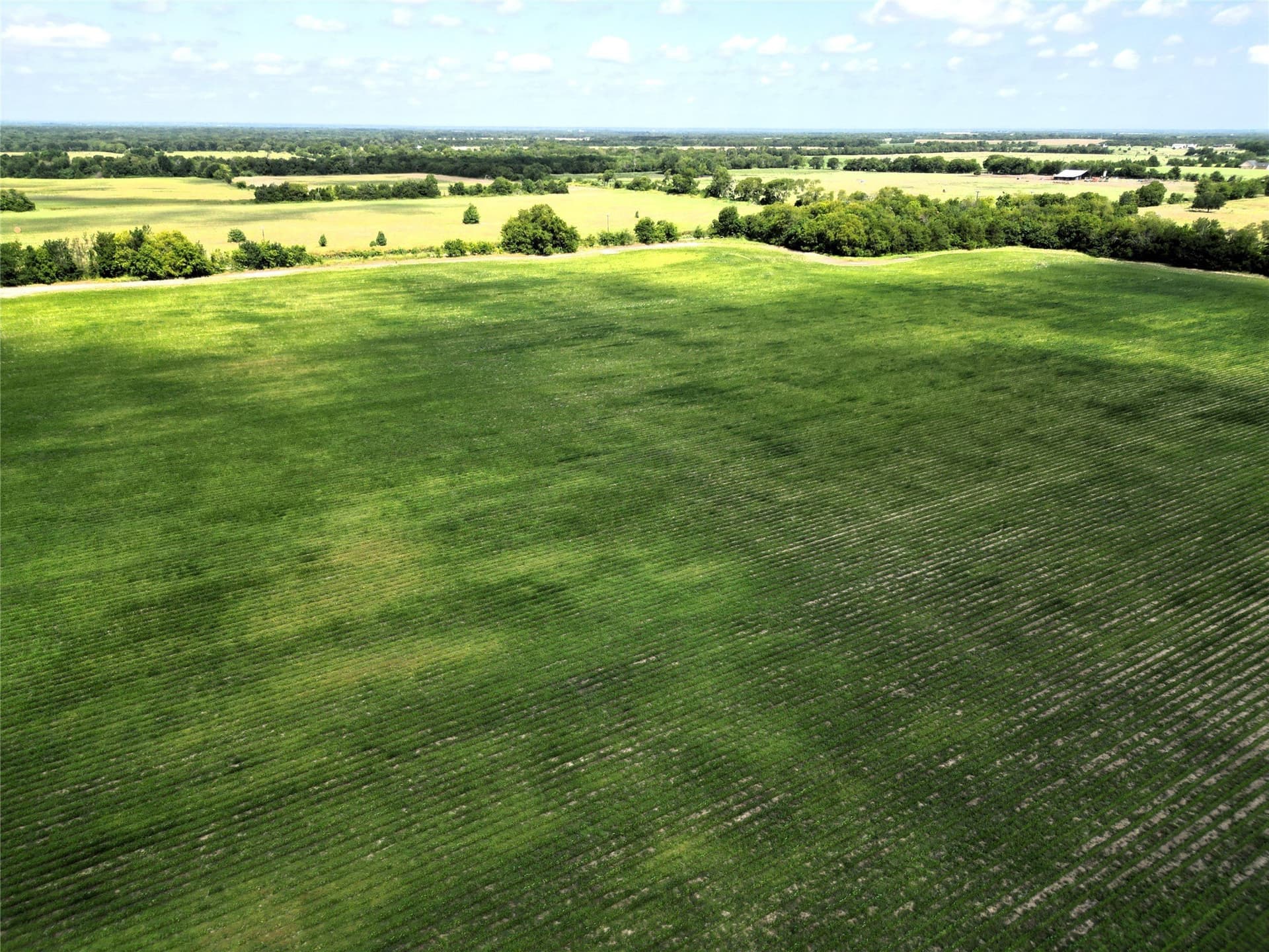48 acres in Delta County - photo 6