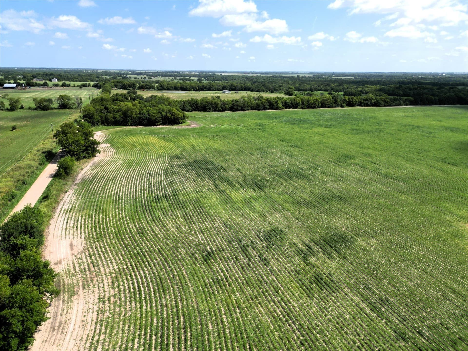 48 acres in Delta County - photo 11