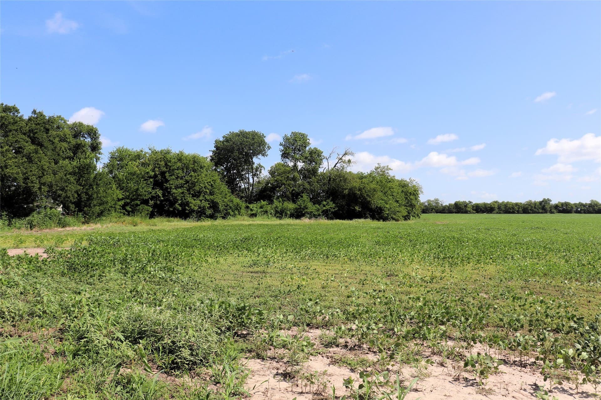 48 acres in Delta County - photo 19