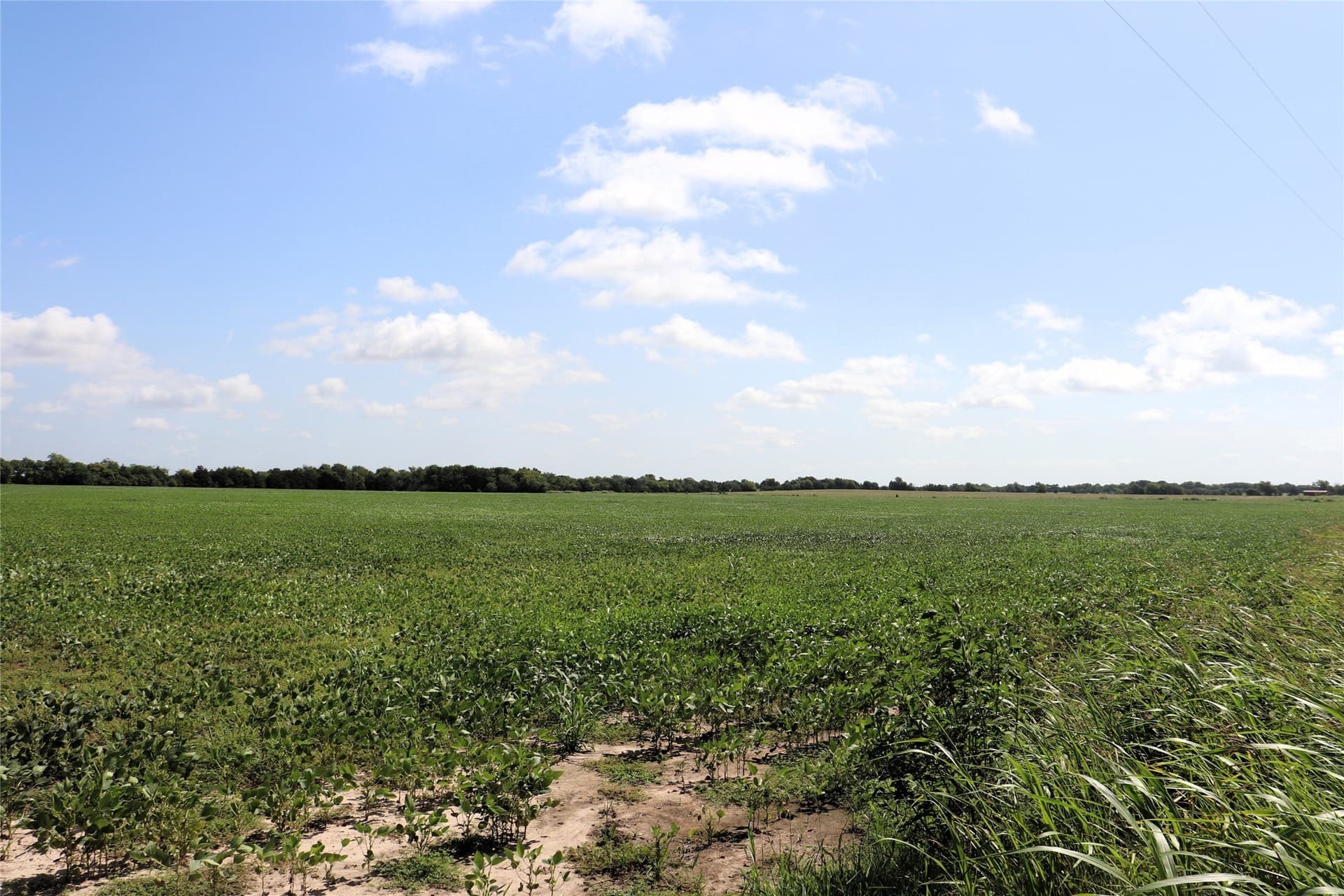 48 acres in Delta County - photo 20