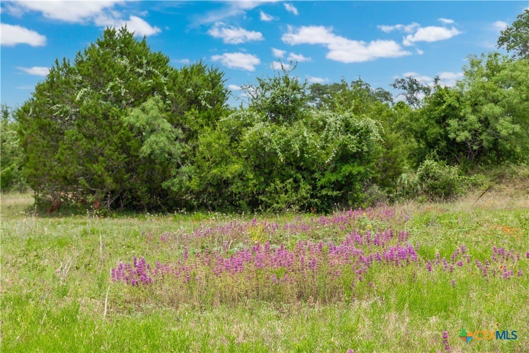 42 acres in Coryell County - photo 25
