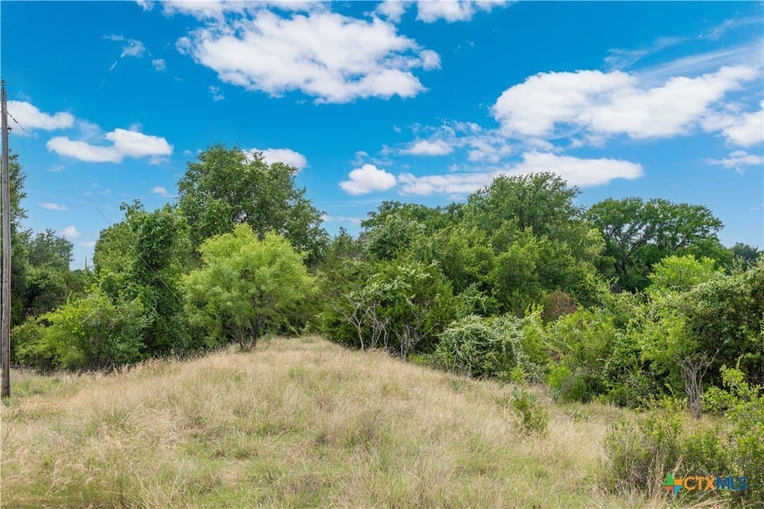 42 acres in Coryell County - photo 19
