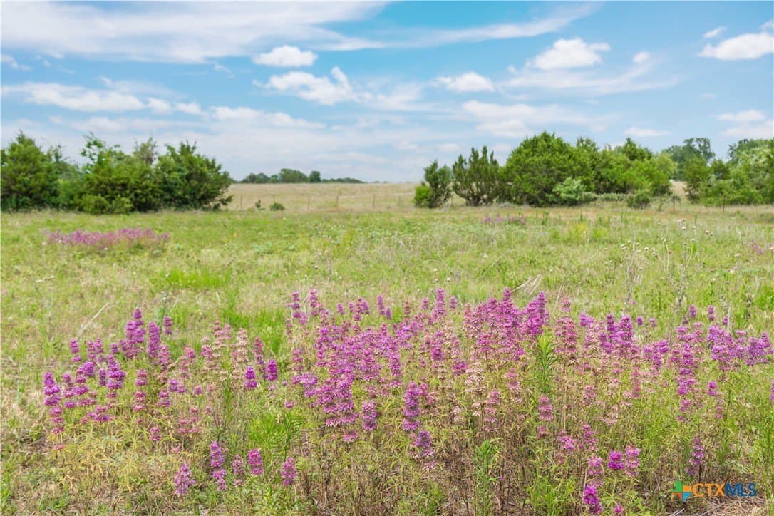 42 acres in Coryell County - photo 20