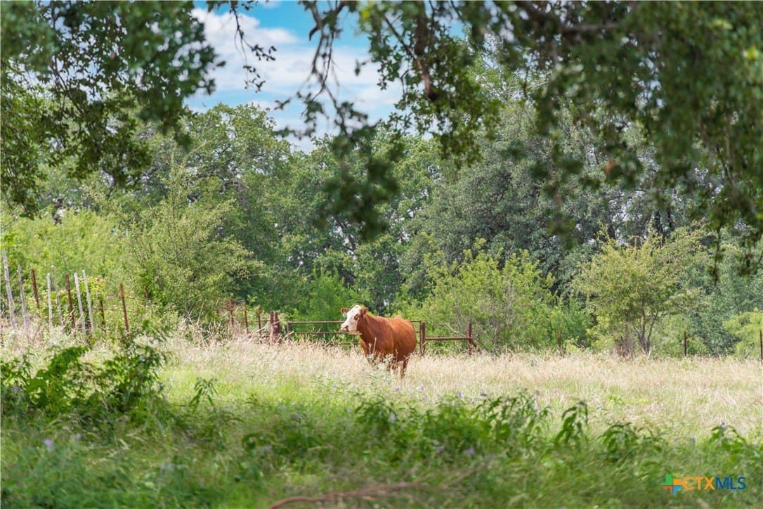 42 acres in Coryell County - photo 23