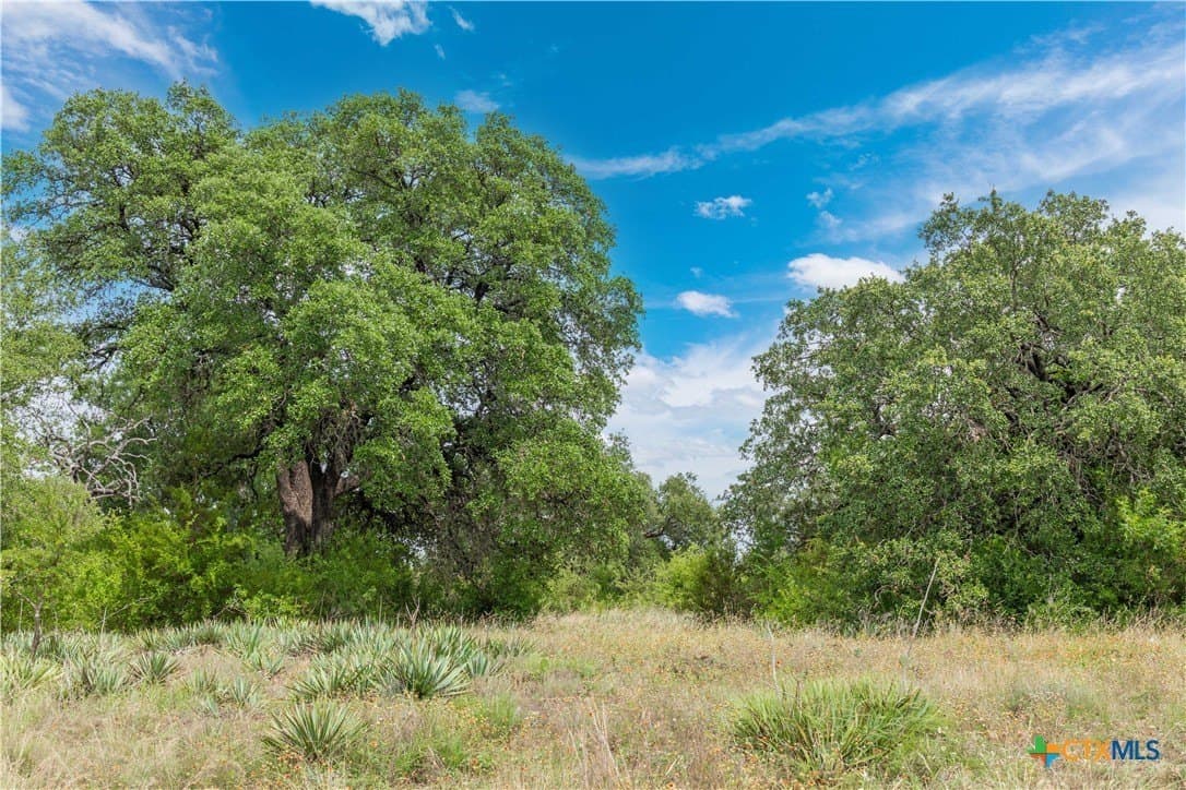 42 acres in Coryell County - photo 21
