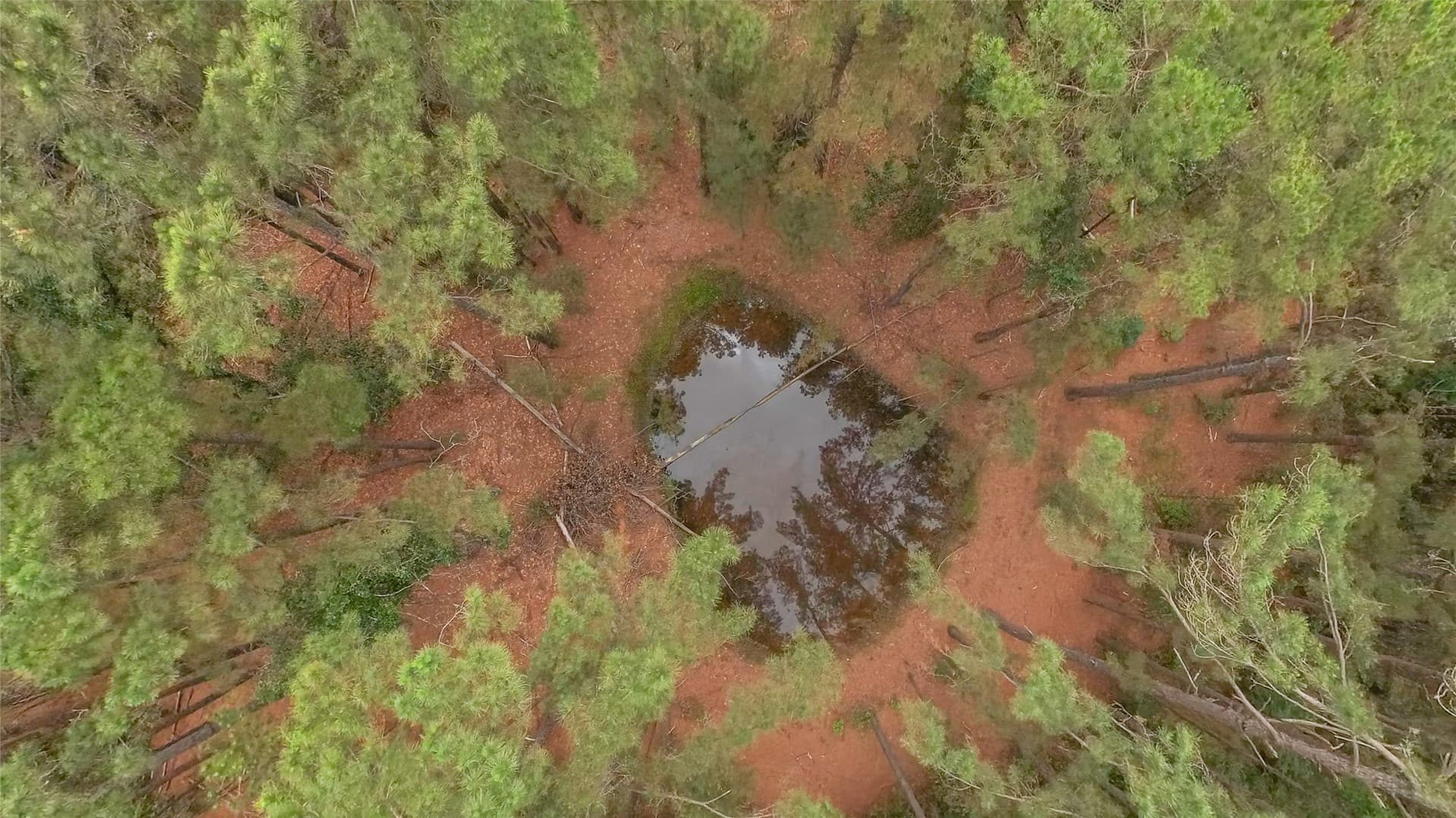 10 acres in Freestone County