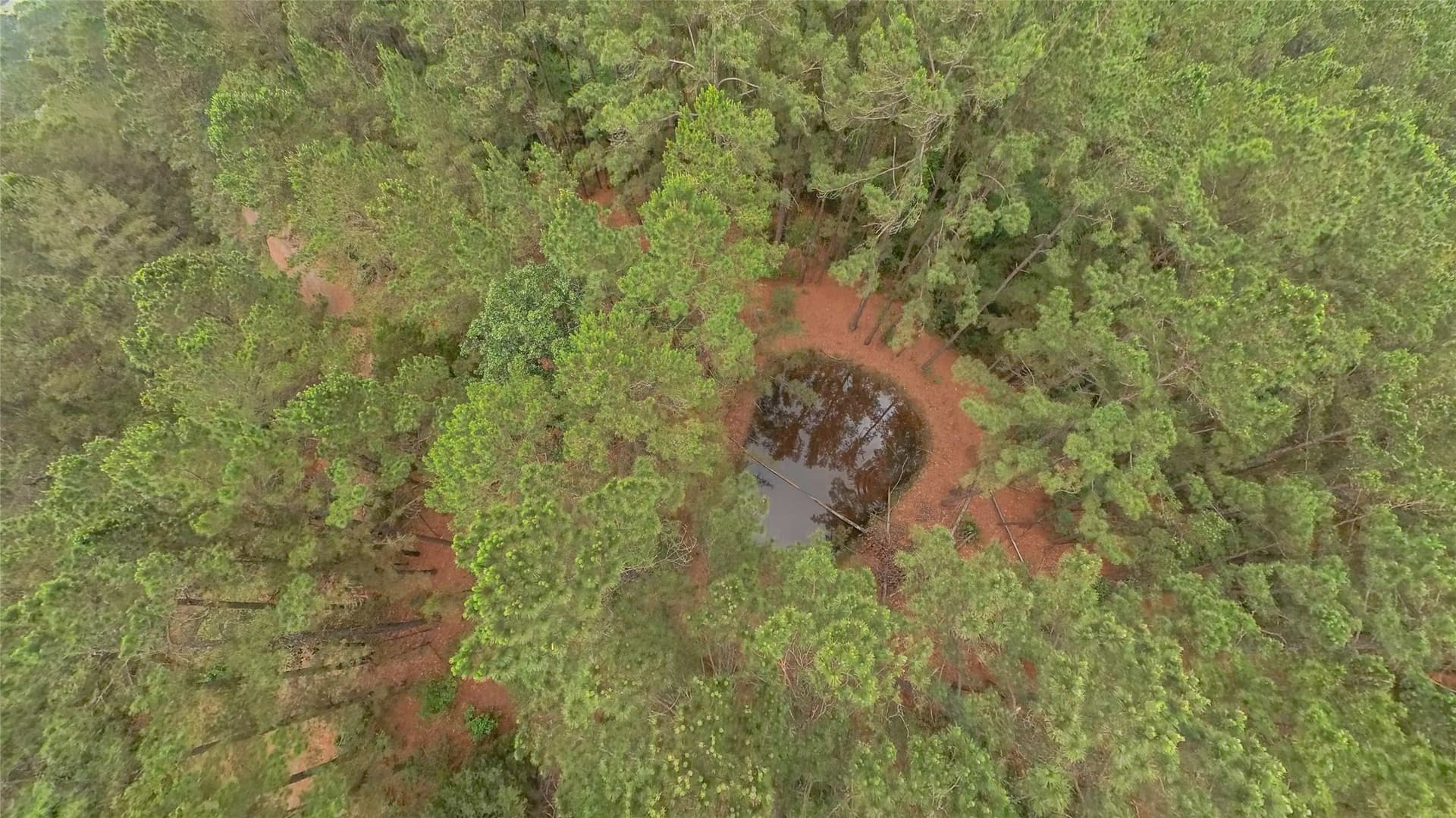 10 acres in Freestone County gallery image 2