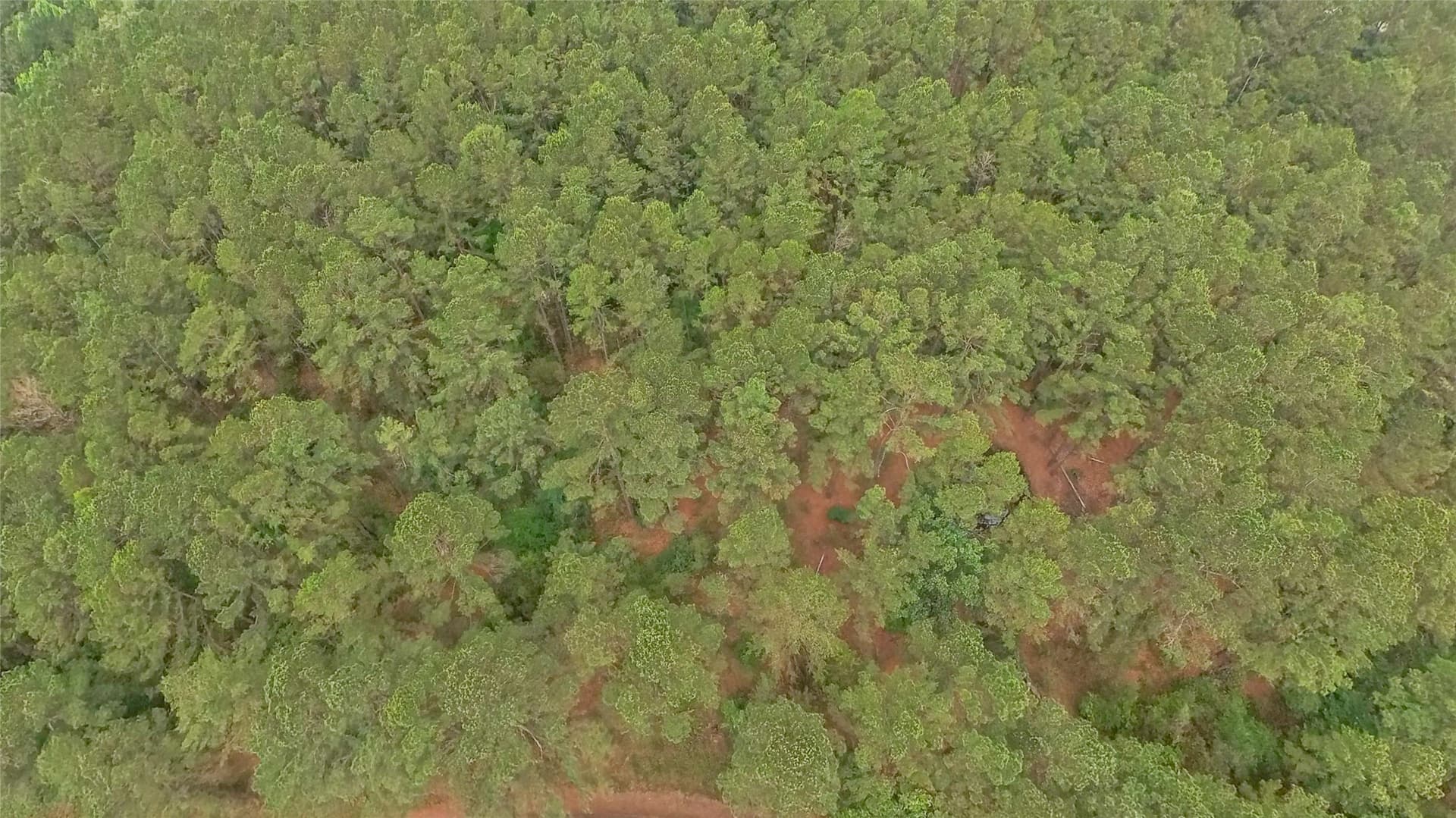 10 acres in Freestone County gallery image 3