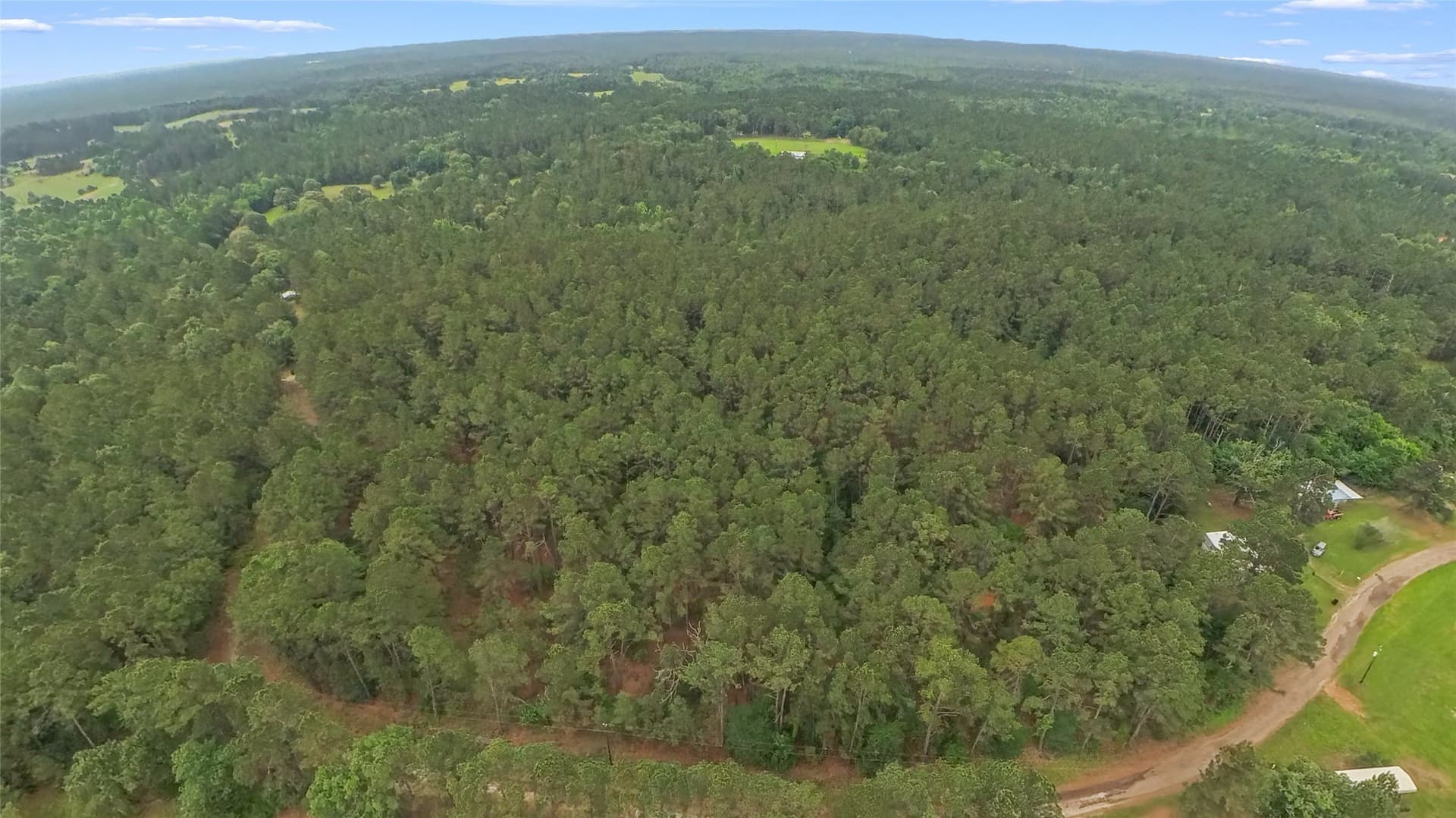 10 acres in Freestone County gallery image 4