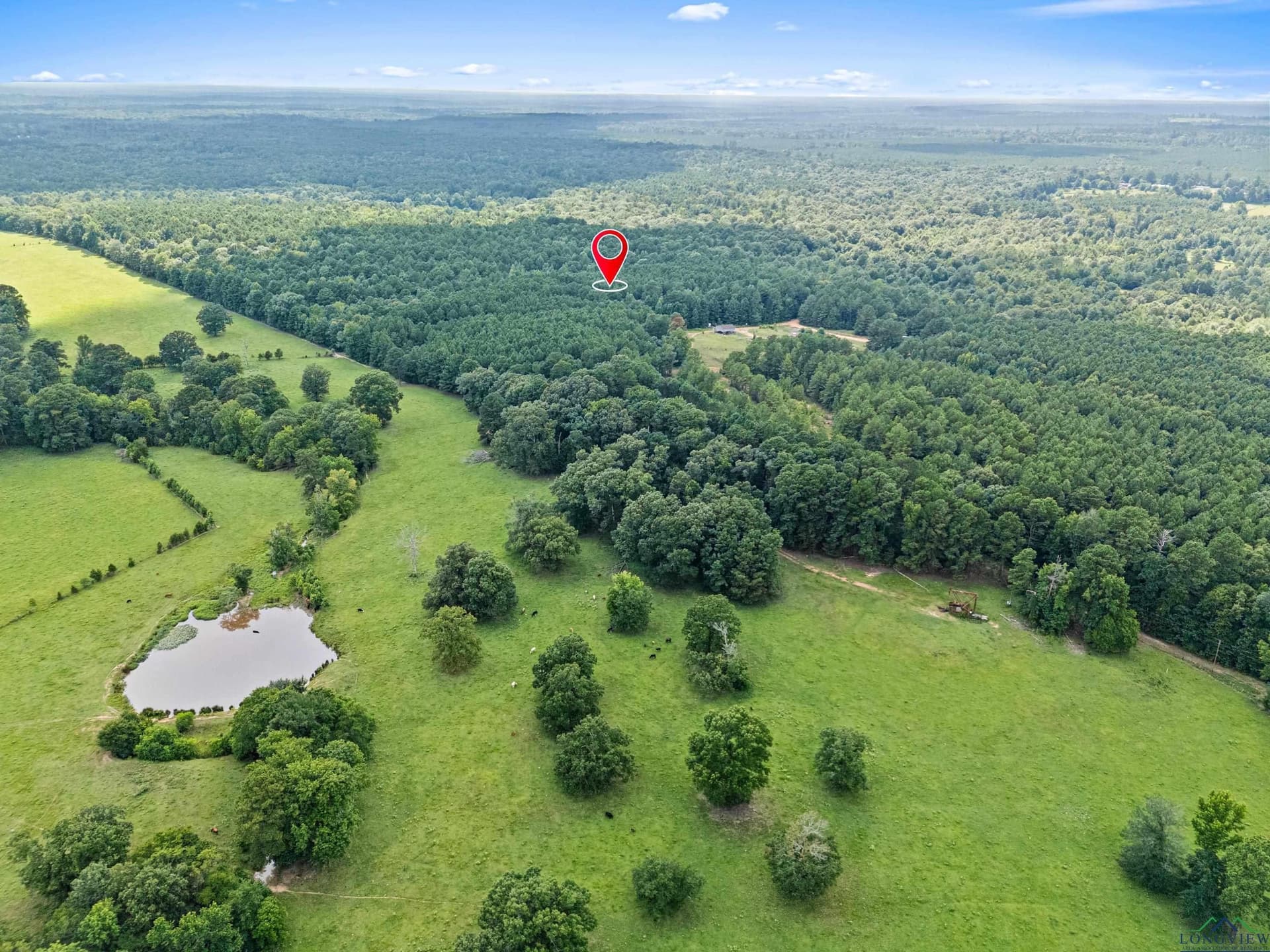 95.76 acres in Marion County featured view