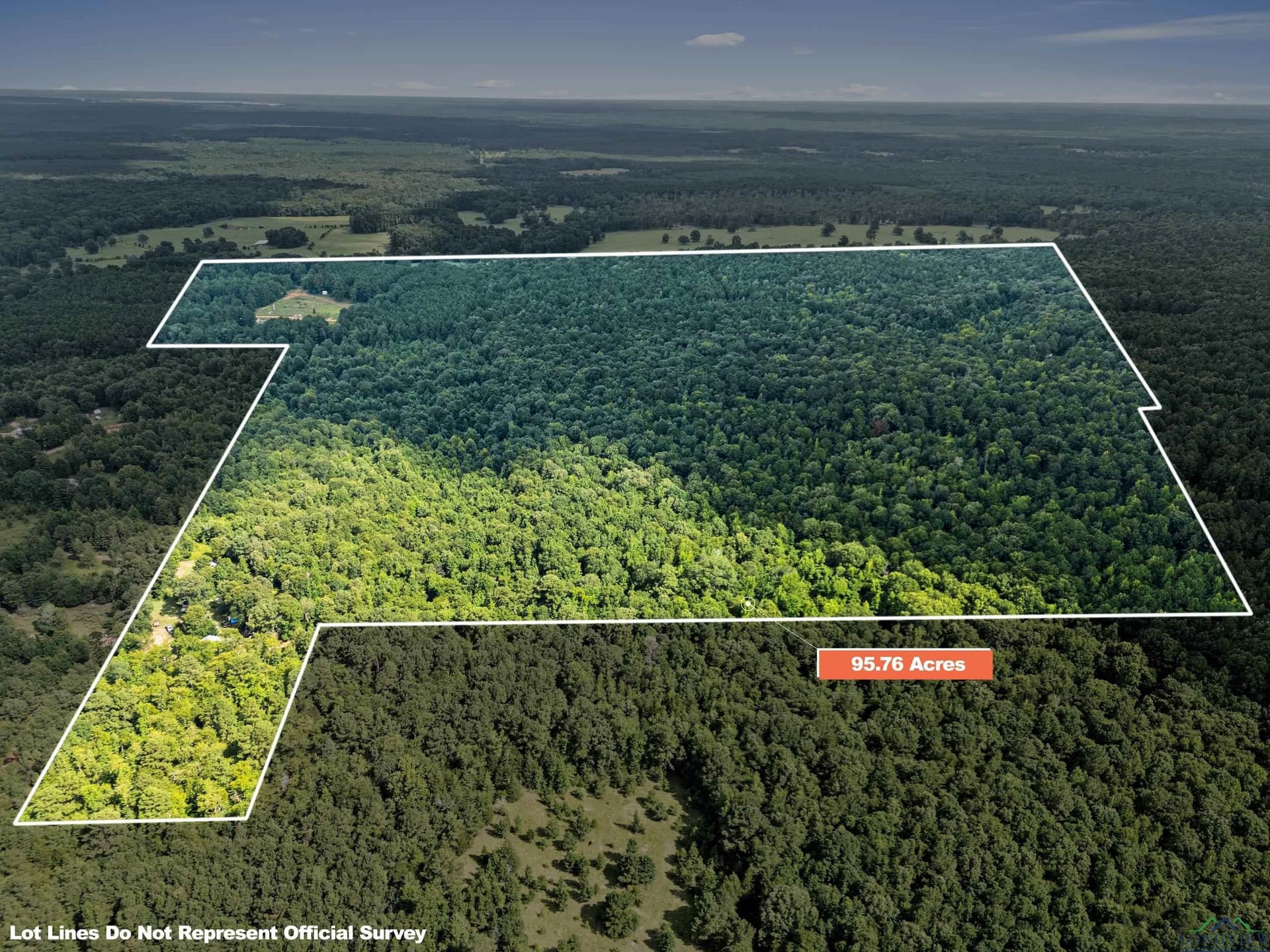95.76 acres in Marion County gallery image 2