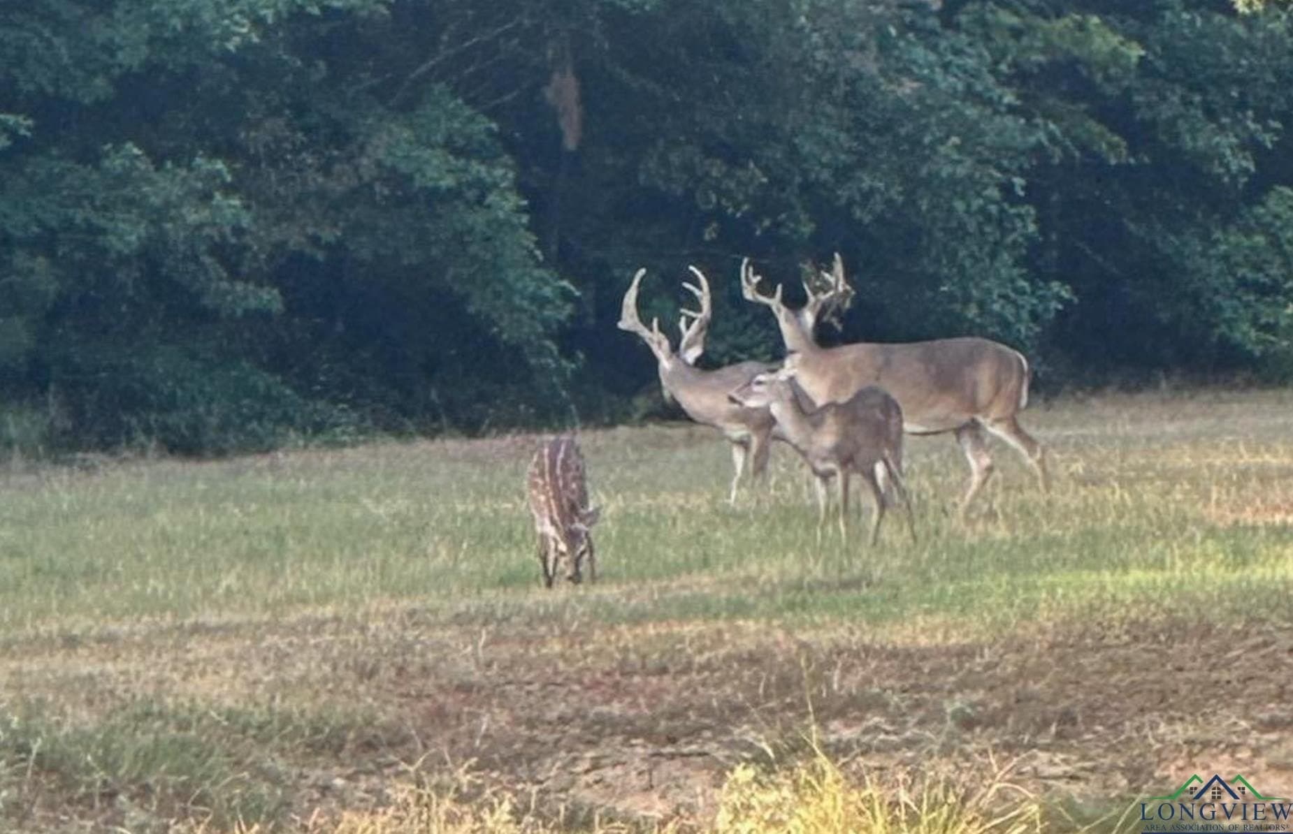 95.76 acres in Marion County