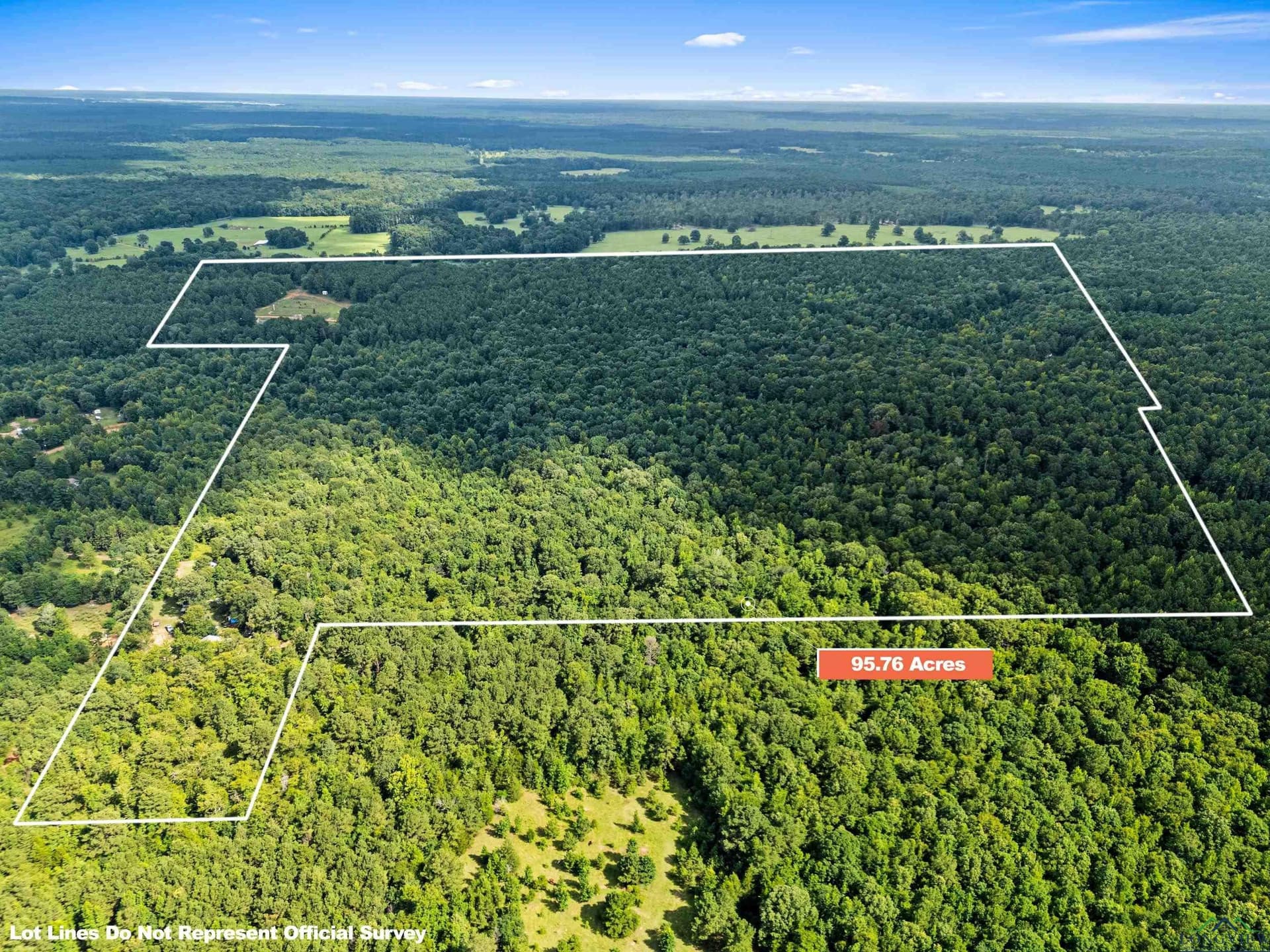 95.76 acres in Marion County gallery image 3