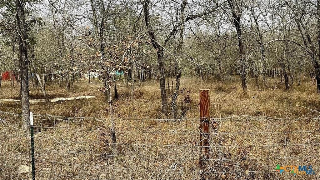 1.24 acres in Bexar County gallery image 3