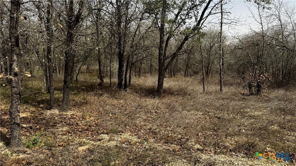 1.24 acres in Bexar County featured view