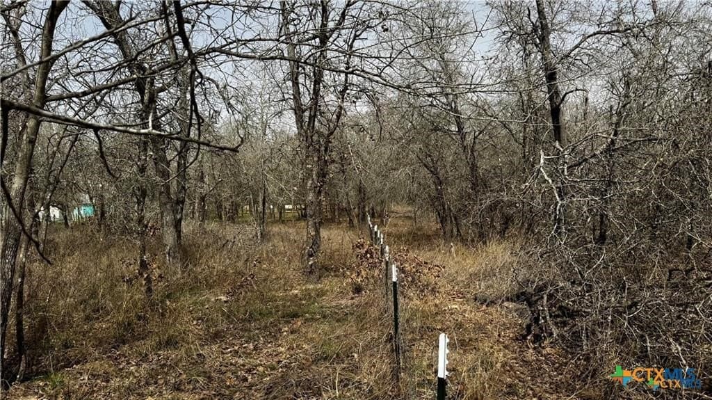 1.24 acres in Bexar County - photo 8
