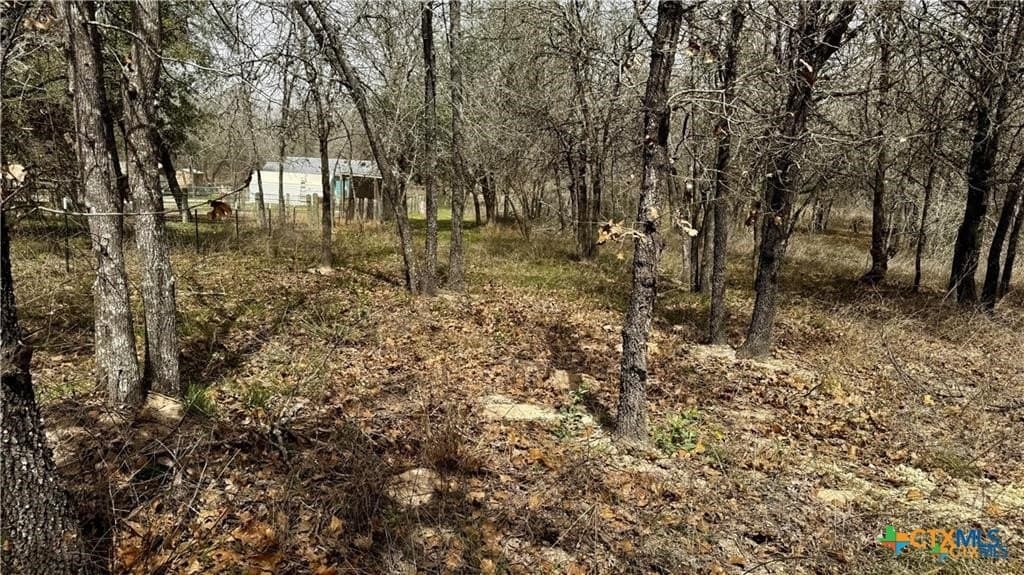 1.24 acres in Bexar County gallery image 4