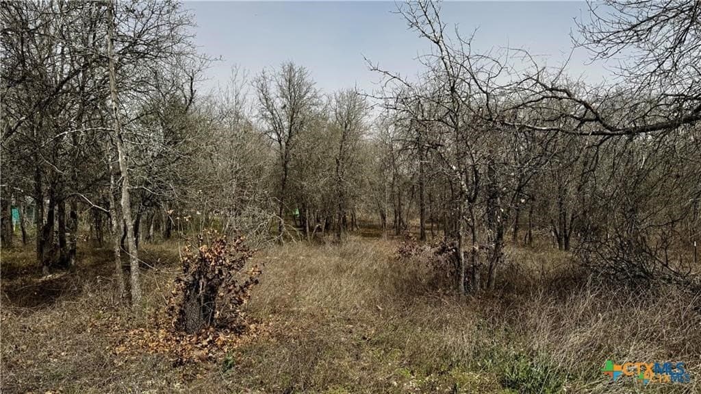 1.24 acres in Bexar County - photo 6