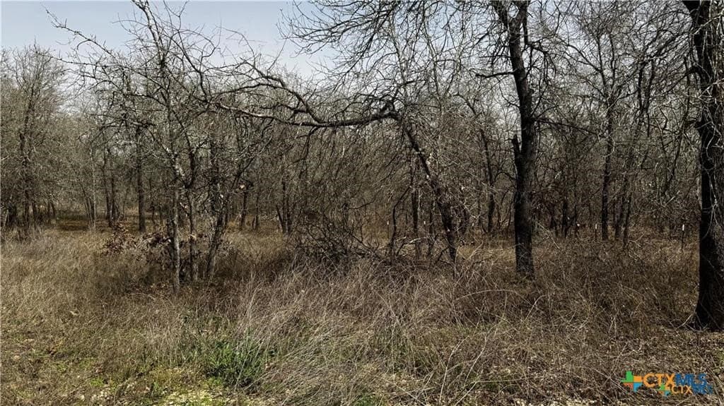 1.24 acres in Bexar County - photo 7