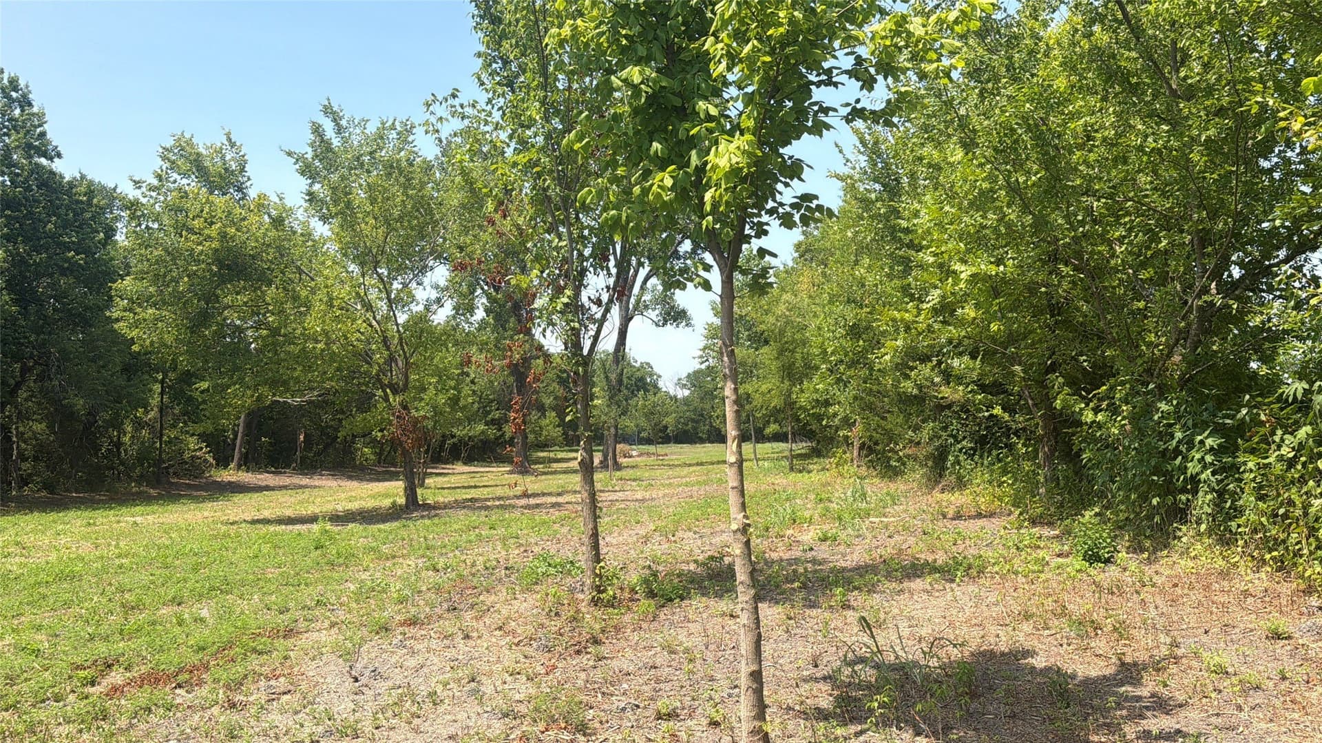 3 acres in Grayson County - photo 4