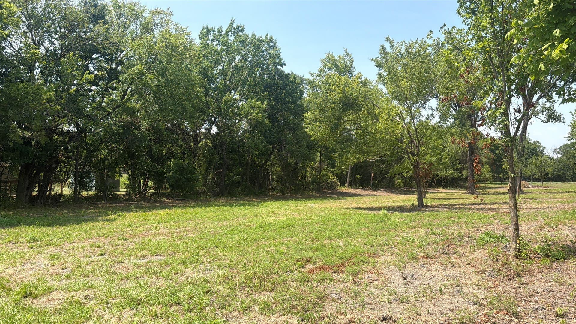 3 acres in Grayson County - photo 5