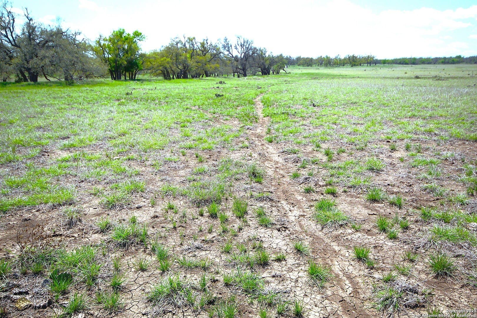 11 acres in Gillespie County featured view