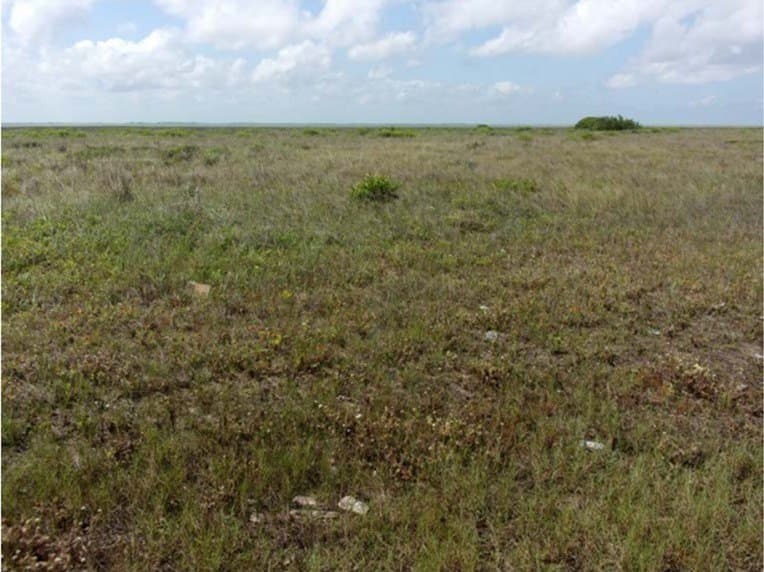 56.6 acres in Brazoria County featured view