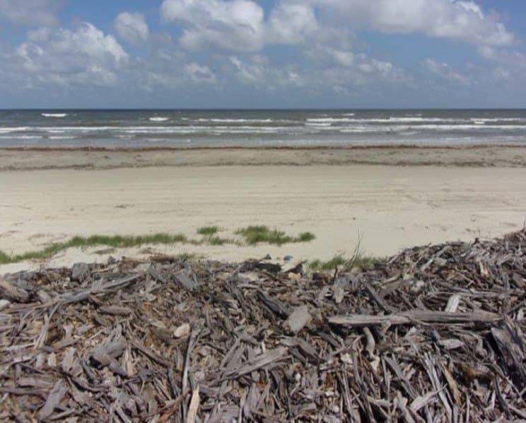 56.6 acres in Brazoria County - photo 8