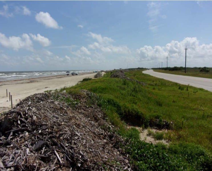56.6 acres in Brazoria County - photo 7