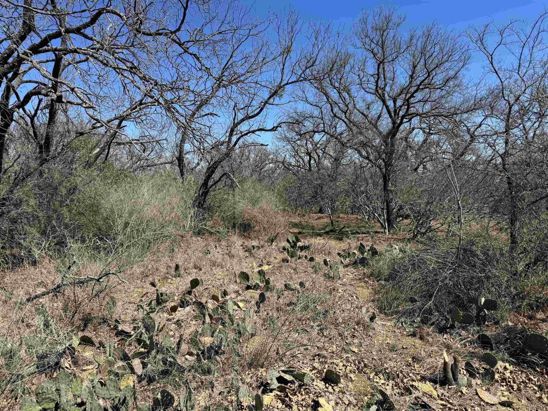 0.63 acres in Llano County - photo 5