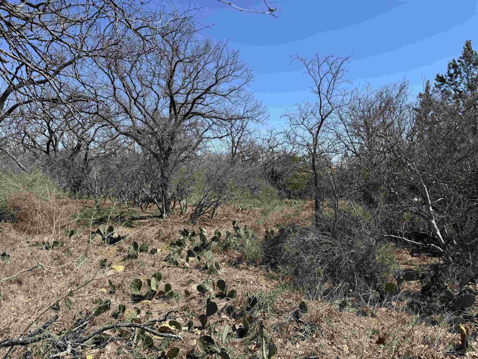 0.63 acres in Llano County - photo 6