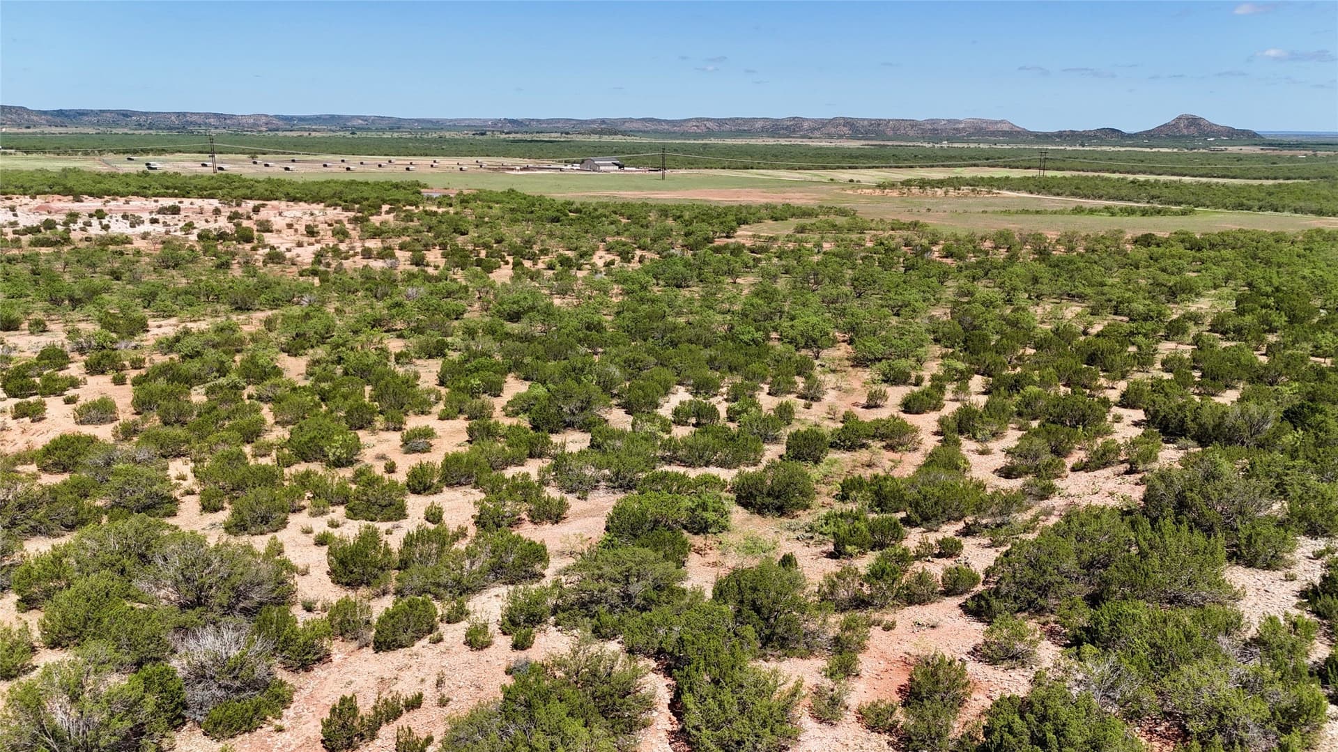 610.25 acres in Coke County - photo 39