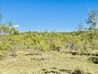 610.25 acres in Coke County - photo 38