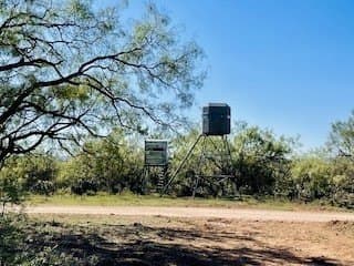 610.25 acres in Coke County - photo 35