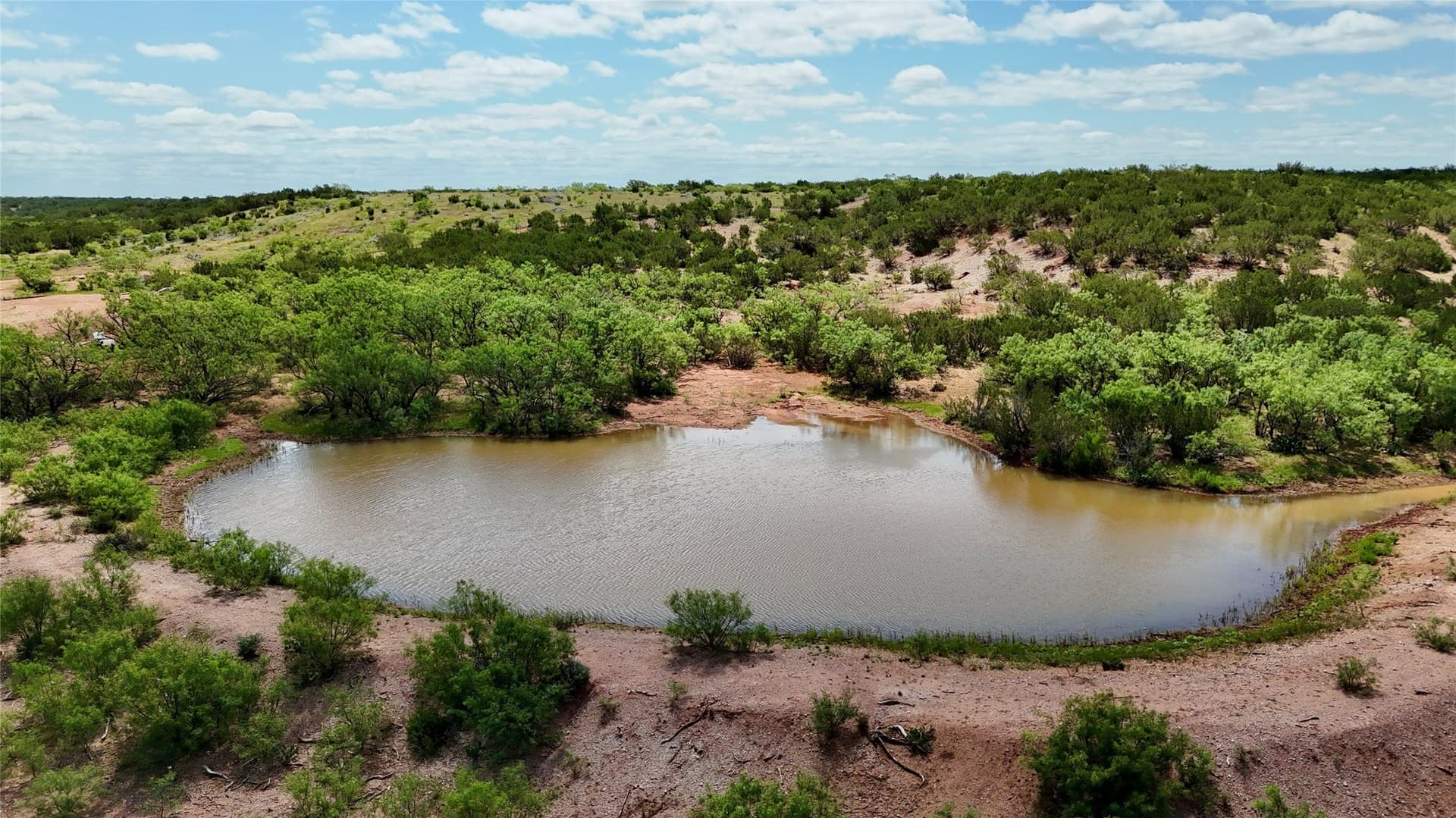 610.25 acres in Coke County - photo 40