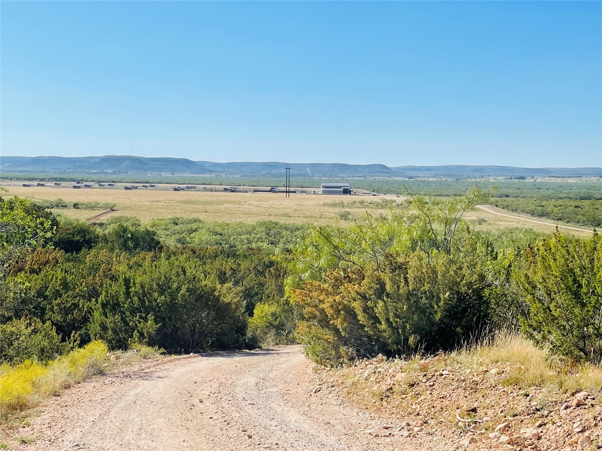 610.25 acres in Coke County - photo 20