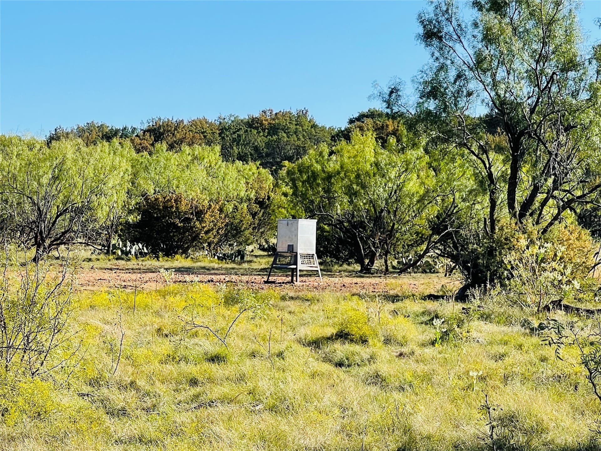 610.25 acres in Coke County - photo 19