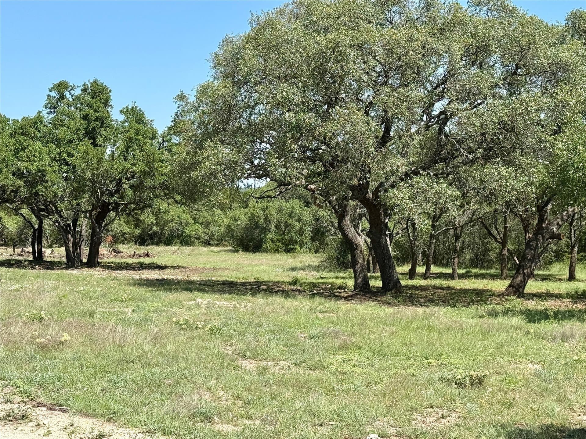 80.18 acres in Brown County - photo 12