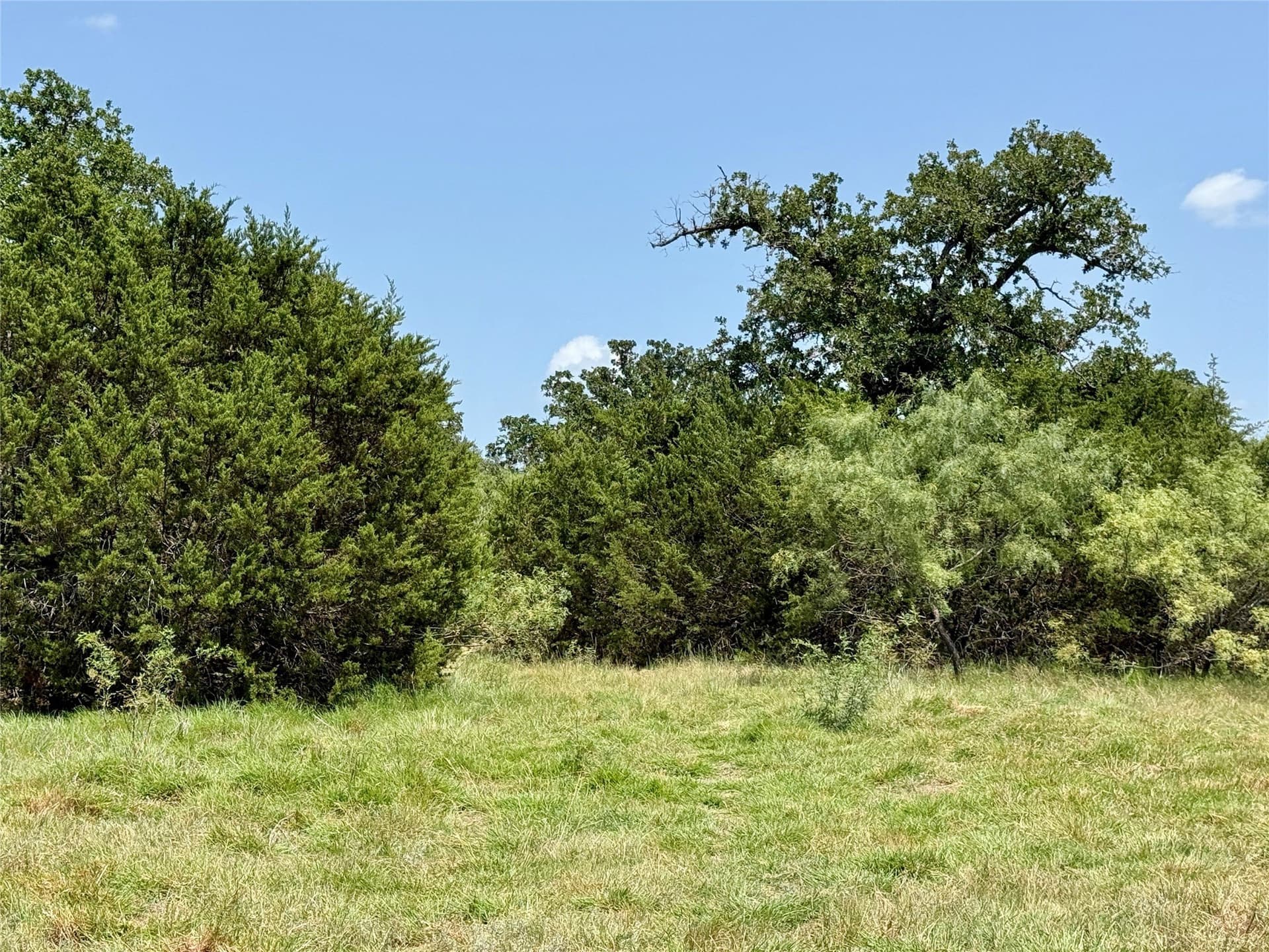80.18 acres in Brown County - photo 28