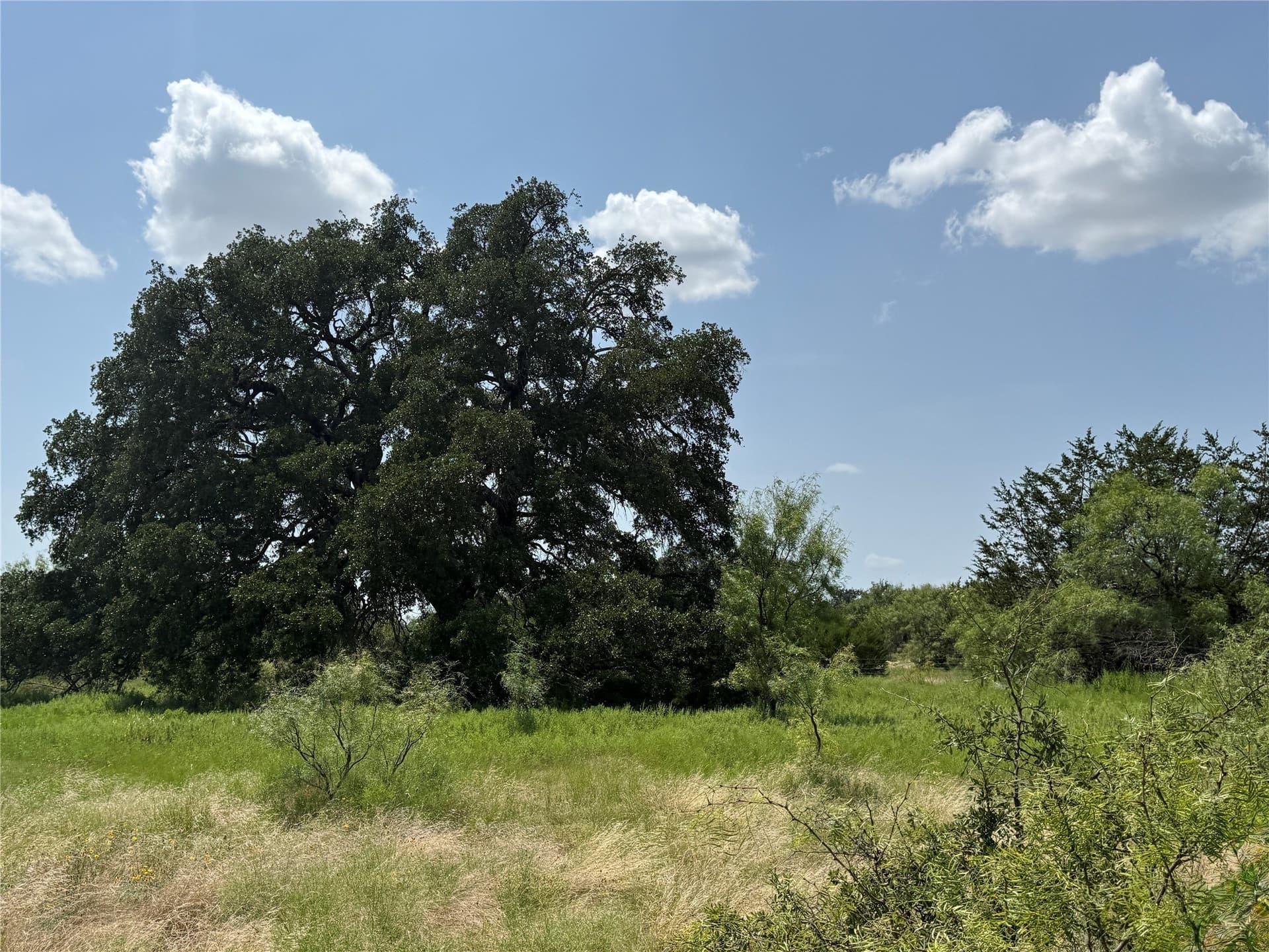 80.18 acres in Brown County - photo 32