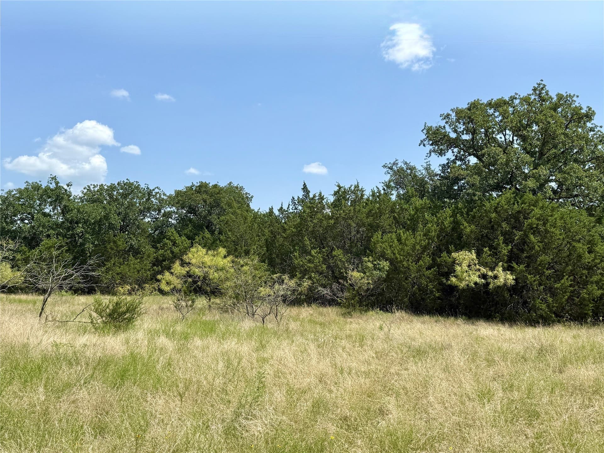 80.18 acres in Brown County - photo 11