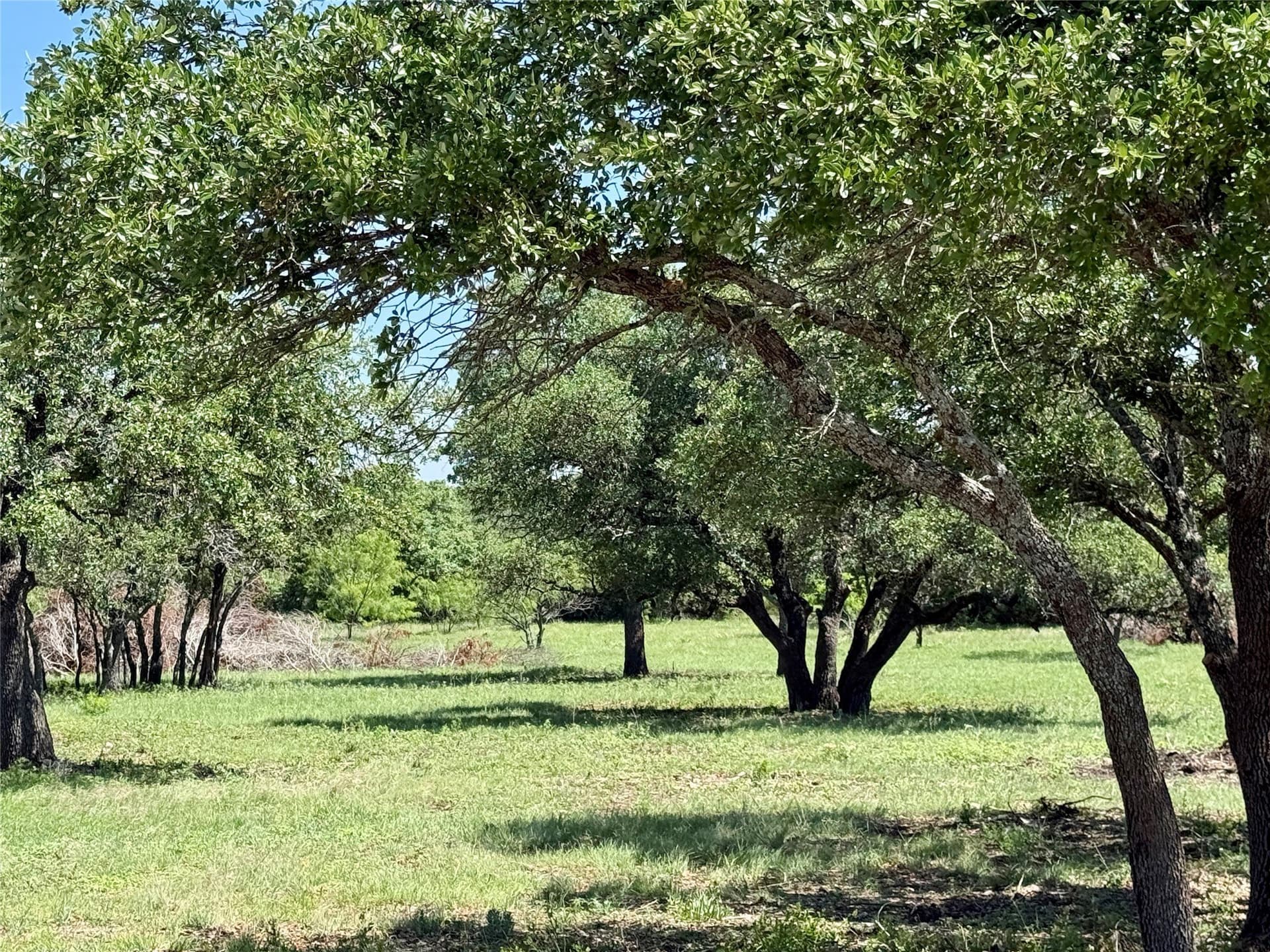 80.18 acres in Brown County gallery image 2