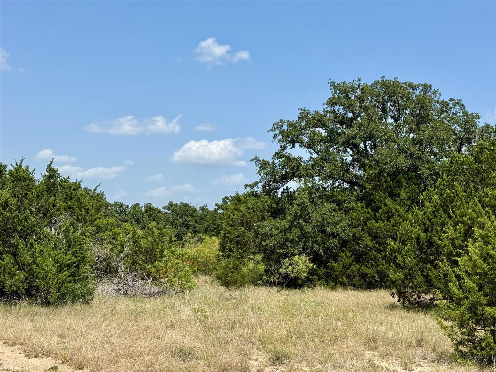 80.18 acres in Brown County - photo 31
