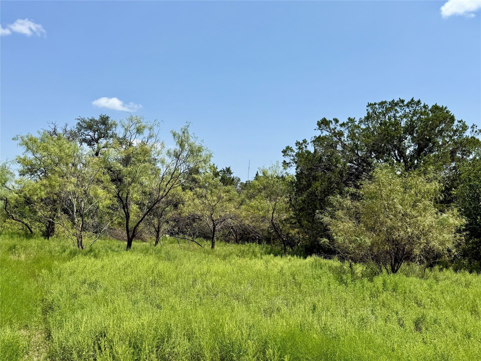 80.18 acres in Brown County - photo 33