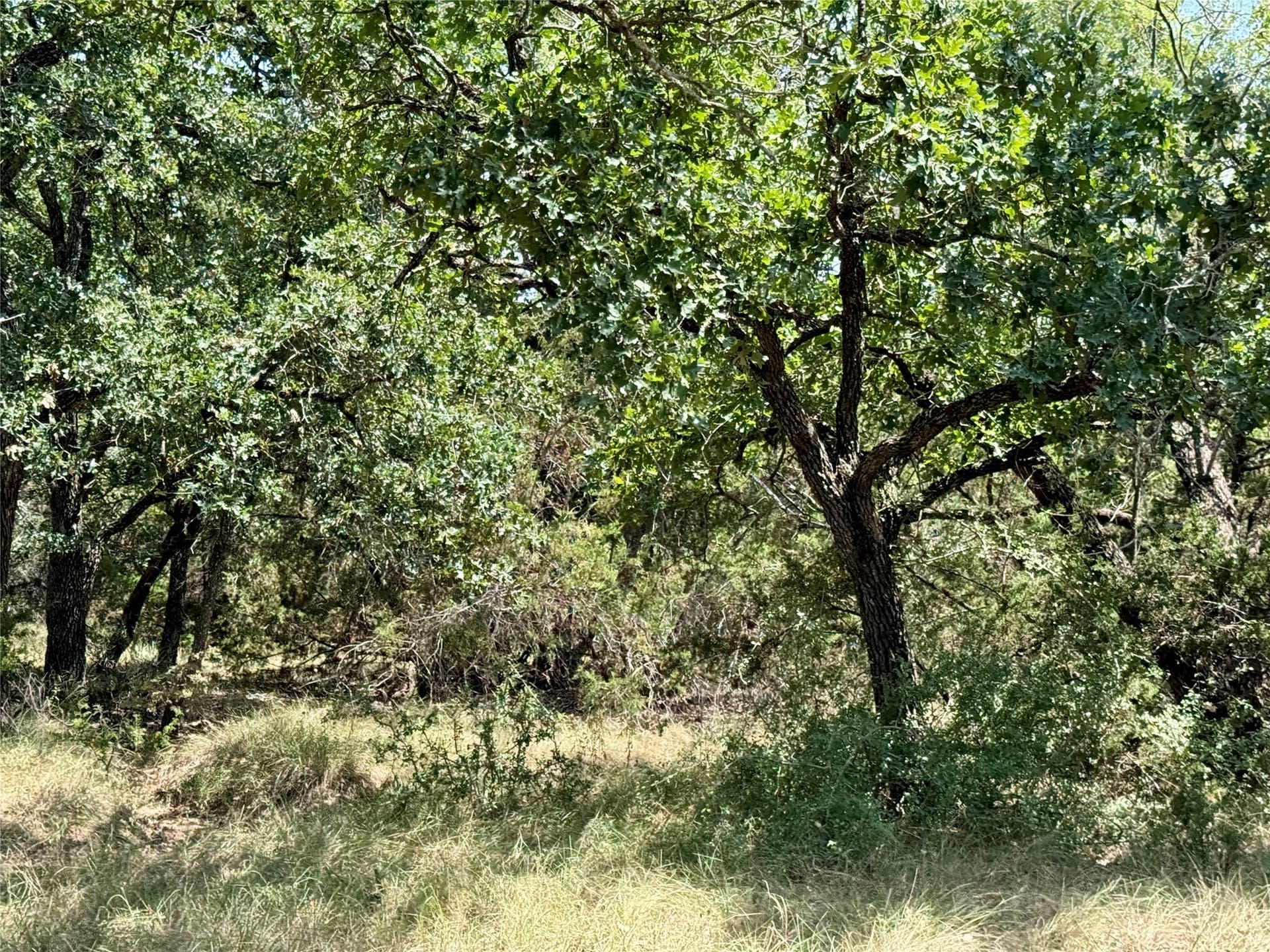 80.18 acres in Brown County - photo 26