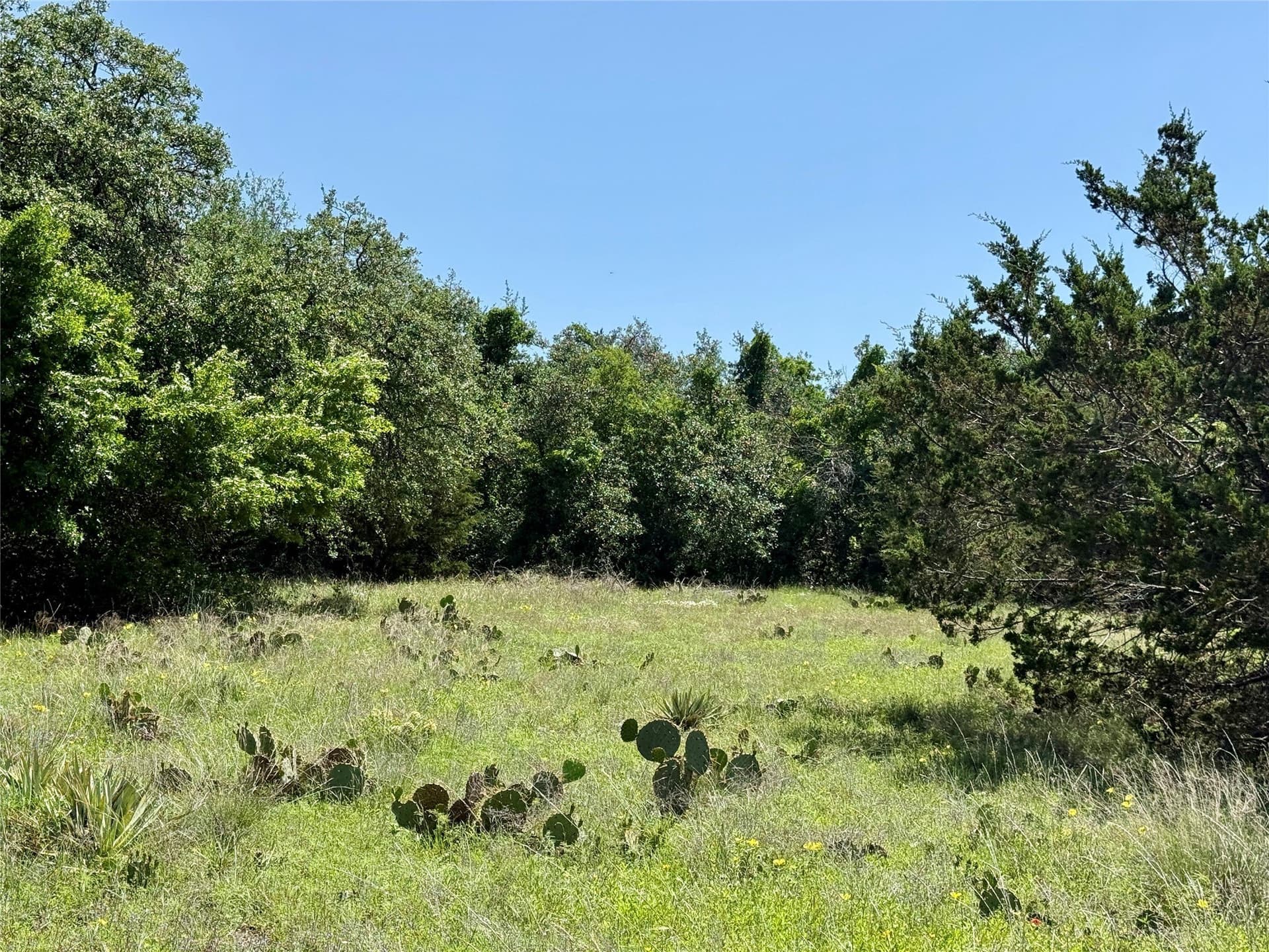 80.18 acres in Brown County - photo 14