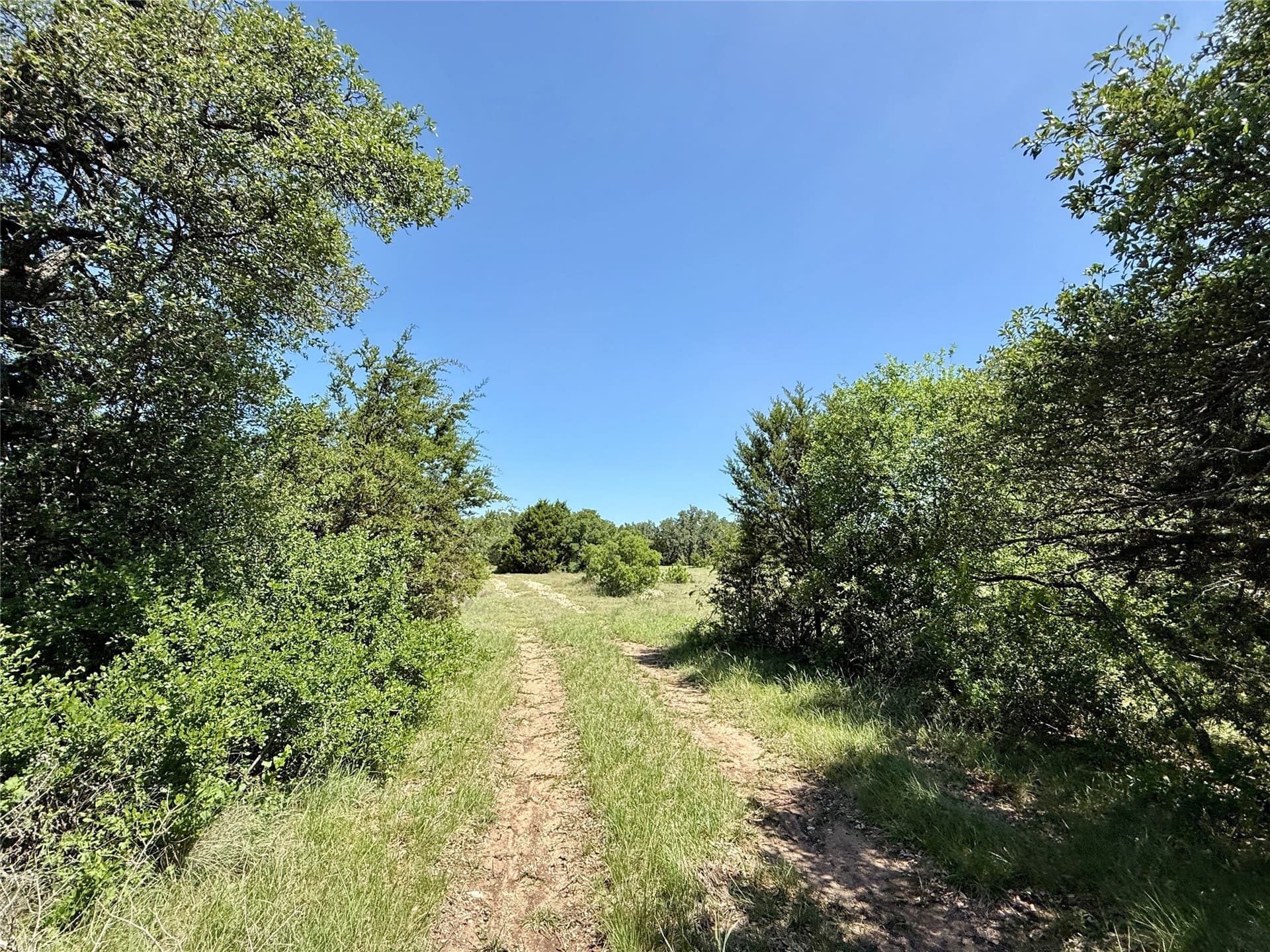 80.18 acres in Brown County - photo 8