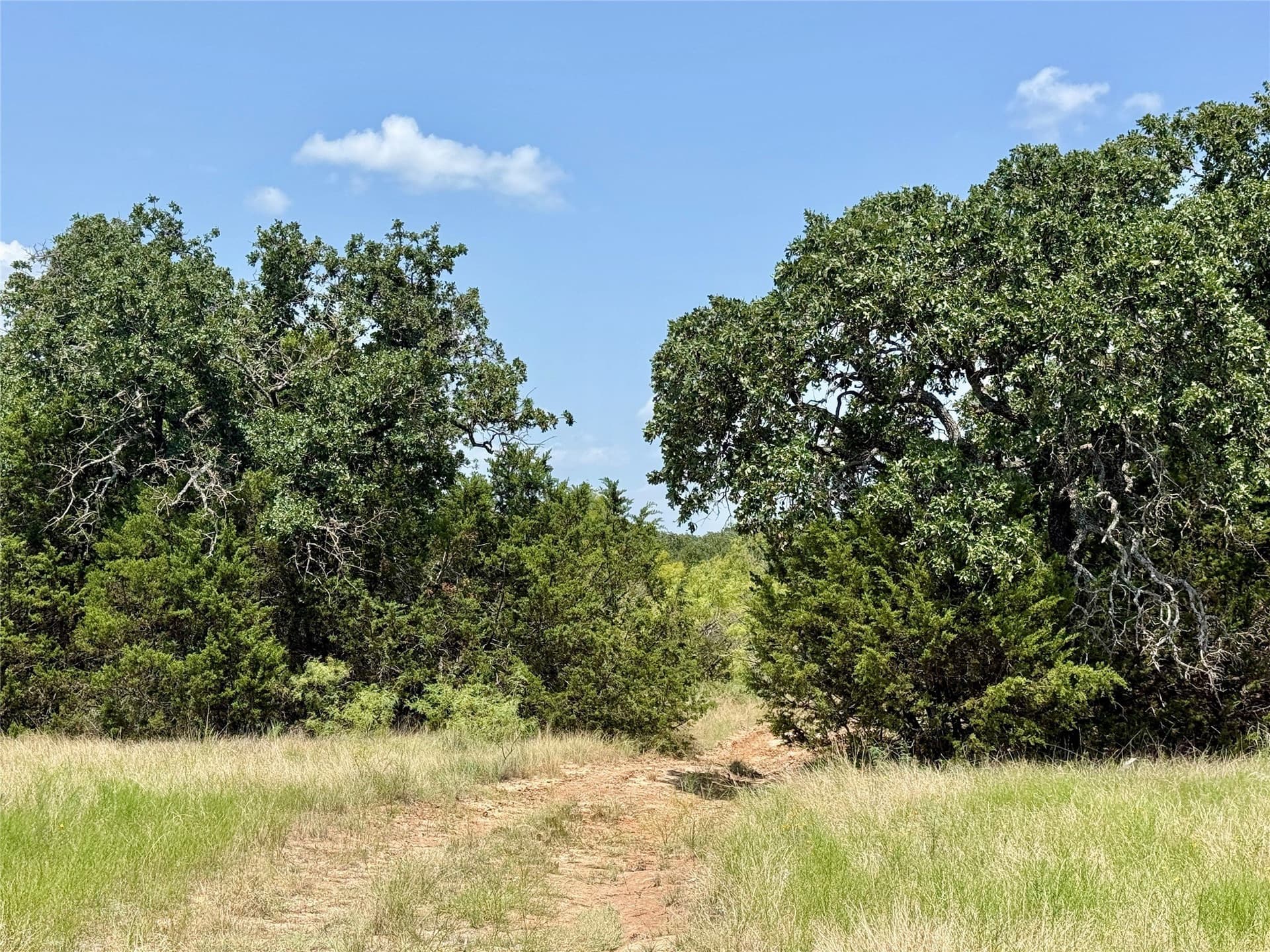 80.18 acres in Brown County - photo 2